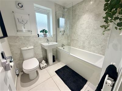 Picture 23